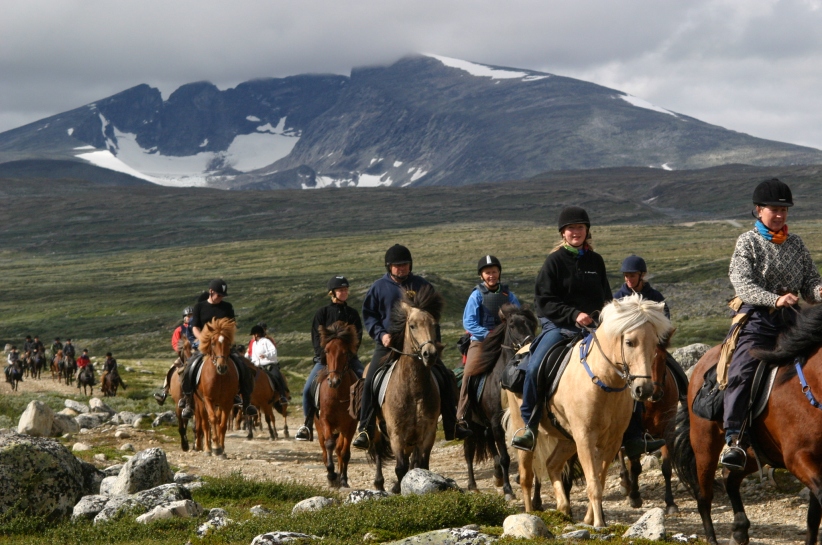 Snart kan guiden på rideturen fortelle mer om transporthistorien på Dovrefjell. Bilde: Hjerkinn Fjellstuen